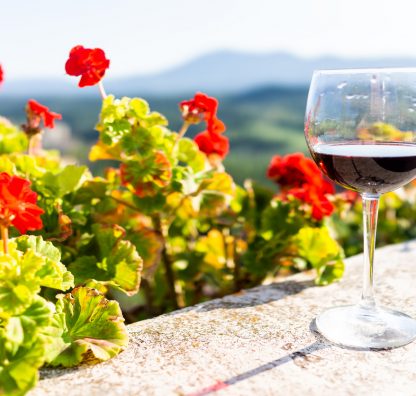 Some Like it Hot - Best Plants for Sunny Balconies