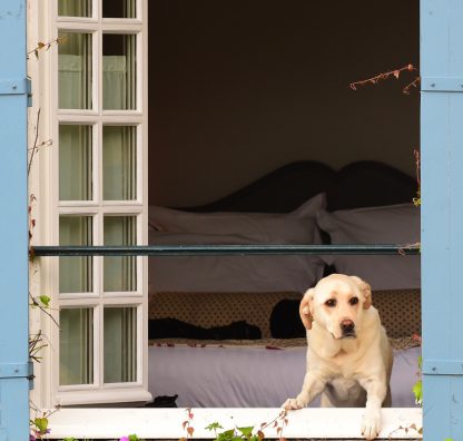 Planning a tax efficient move to France: Case Study