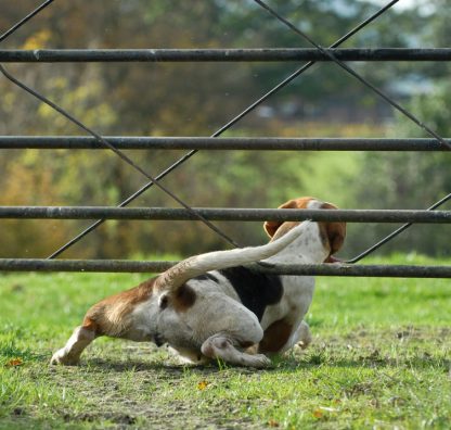 Think you've escaped UK Tax? Think again! Understanding the UK residence test