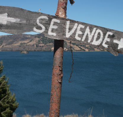 Do I need a solicitor to help me sell abroad?